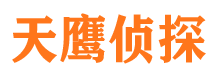 蔡甸婚外情调查取证